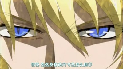 snapshot20090210002158