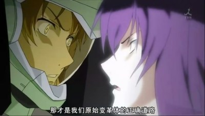 snapshot20090330002105