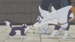 snapshot20100529190034