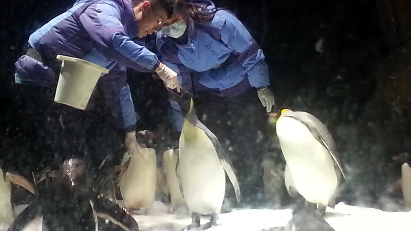 18 January 2014 日記 –&nbsp;海洋公園!!