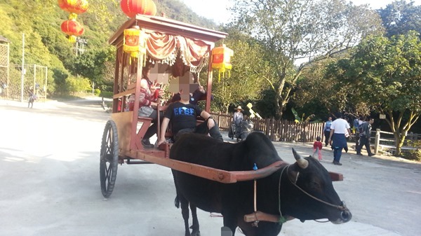 20140223_163033_mh1393319900190