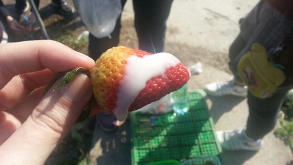 65xjaBKmFrHReL94iJ7rFi