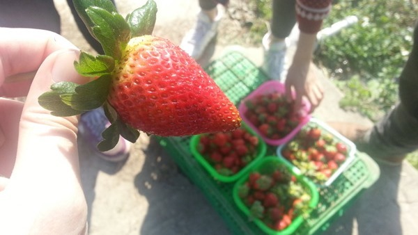 6J3gIAA8prXMhpTmaT3Mxd