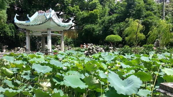 sLQ8zDnobqt1mDZb3TRSf