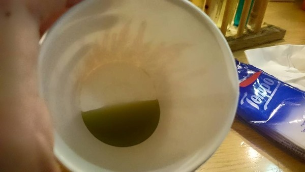 1383708_10153424034919700_4907770205247760214_n