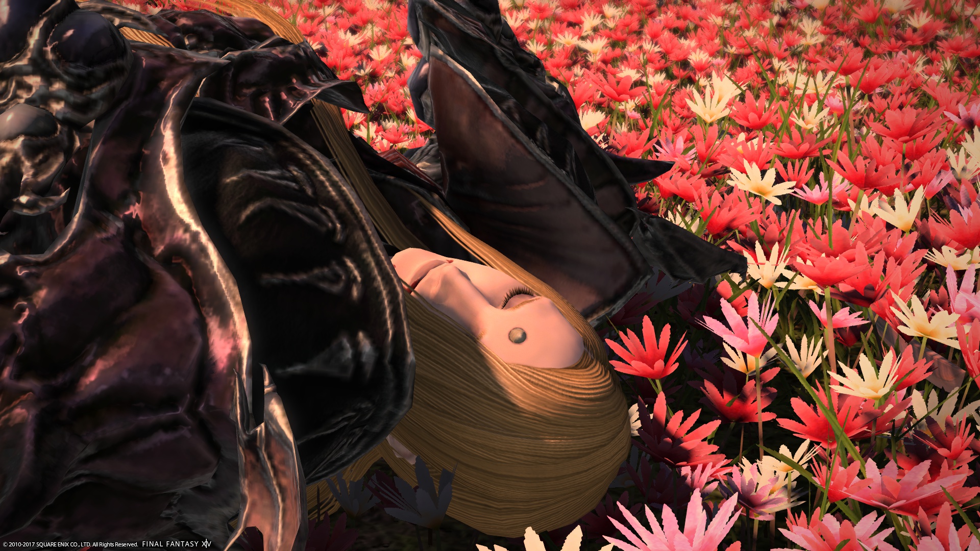 ffxiv_20170624_172644