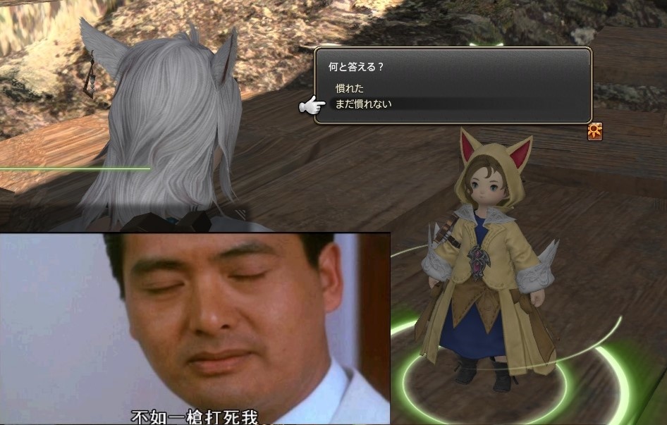 [FF14]  禁断の地エウレカ：アネモス編