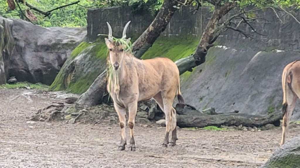 2025-04-22-01-37-19-1243972892276776553404