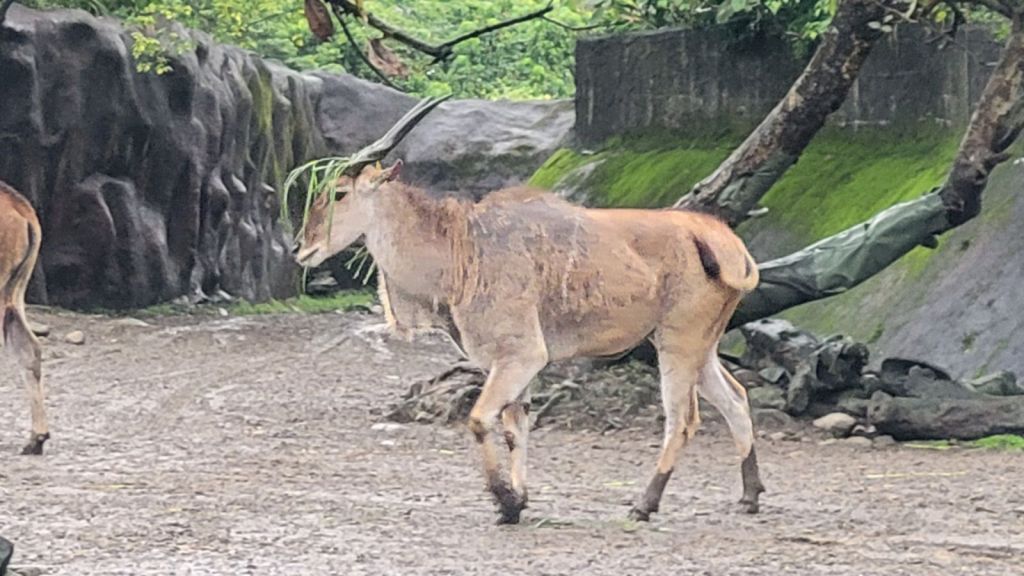 2025-04-22-01-37-22-9474357018446645863041