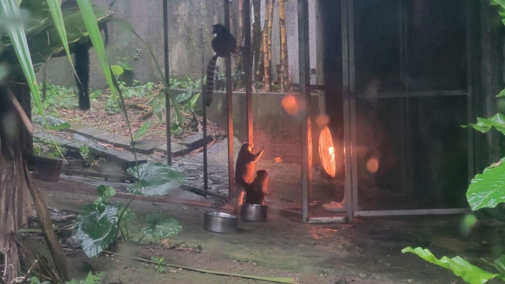 2025-04-22-01-37-46-8326973731114893377337