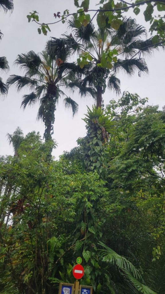 2025-04-22-01-39-27-0687667495932398926079