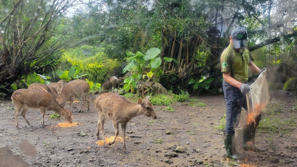 2025-04-22-01-44-55-6397573651109159302527