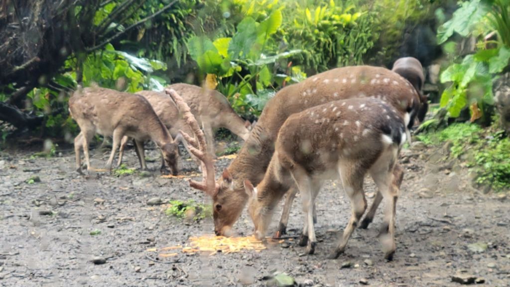 2025-04-22-01-45-01-1833747496353022163536