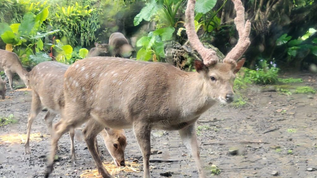 2025-04-22-01-45-06-621588369238561795040