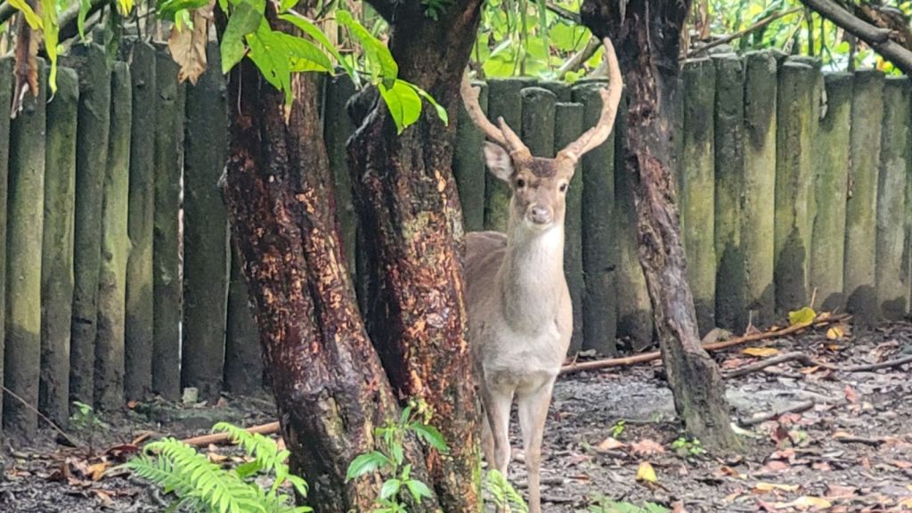 2025-04-22-01-45-35-2387020551821735255851