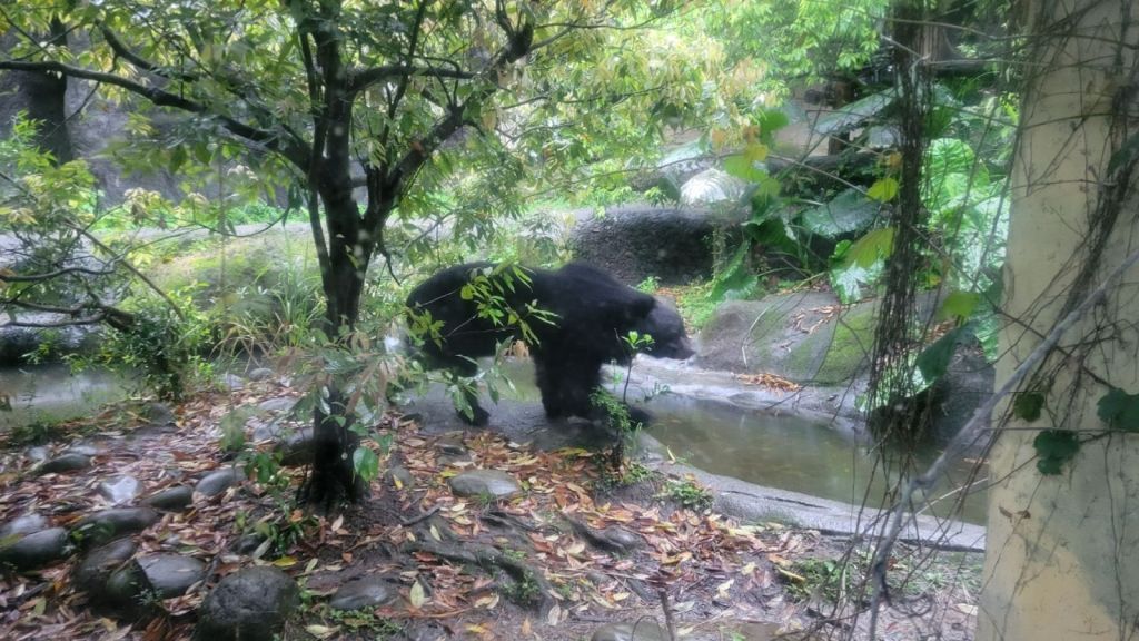 2025-04-22-01-46-52-1418551310762772500821