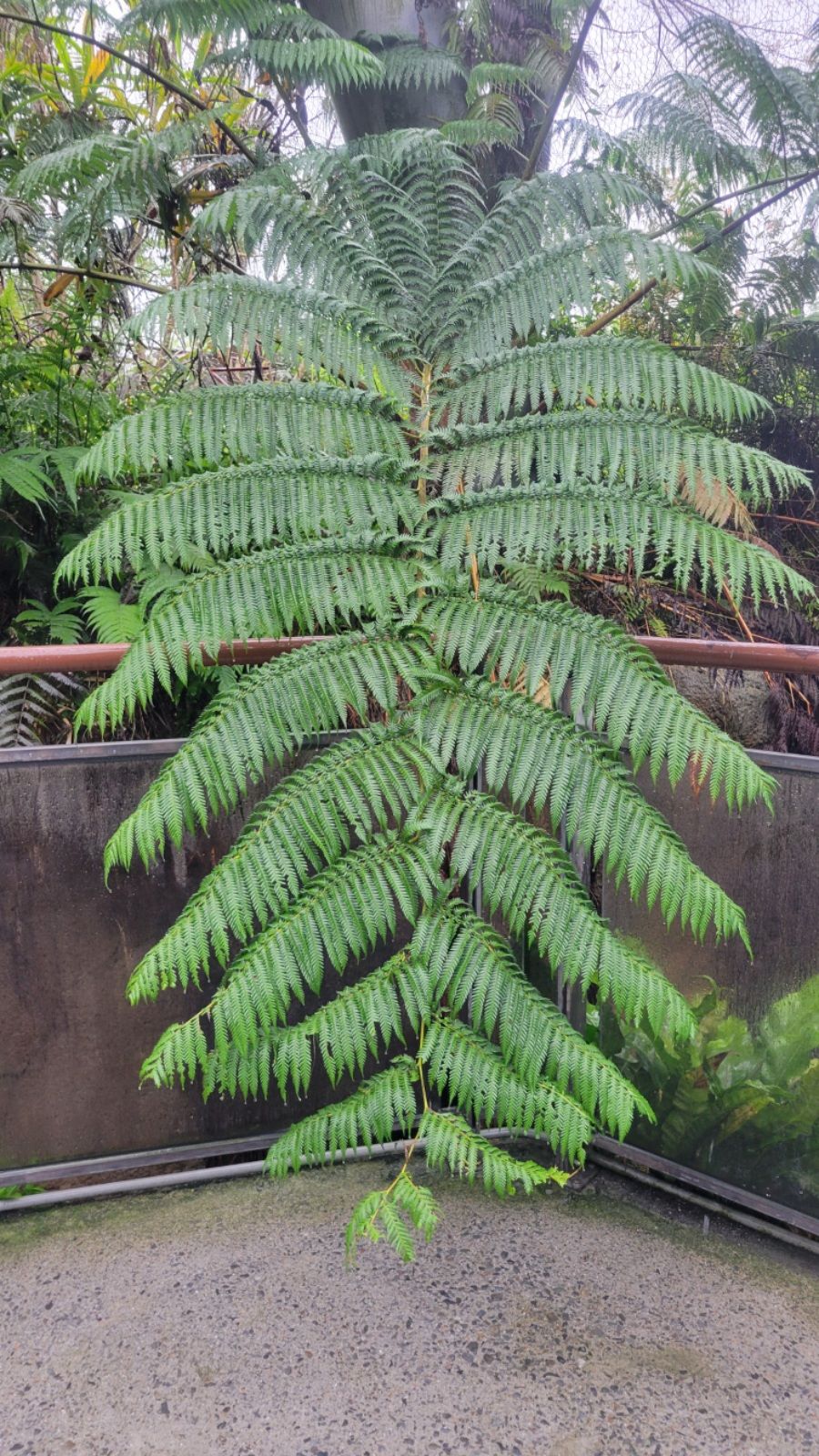 2025-04-22-01-35-39-0767910746984919018116