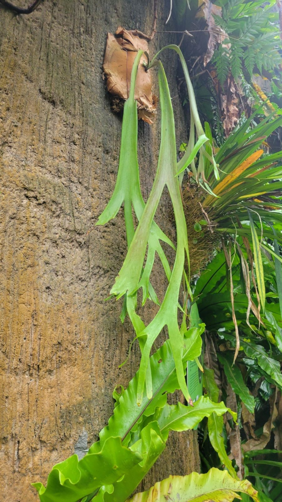 2025-04-22-01-36-03-5914343395177960527384