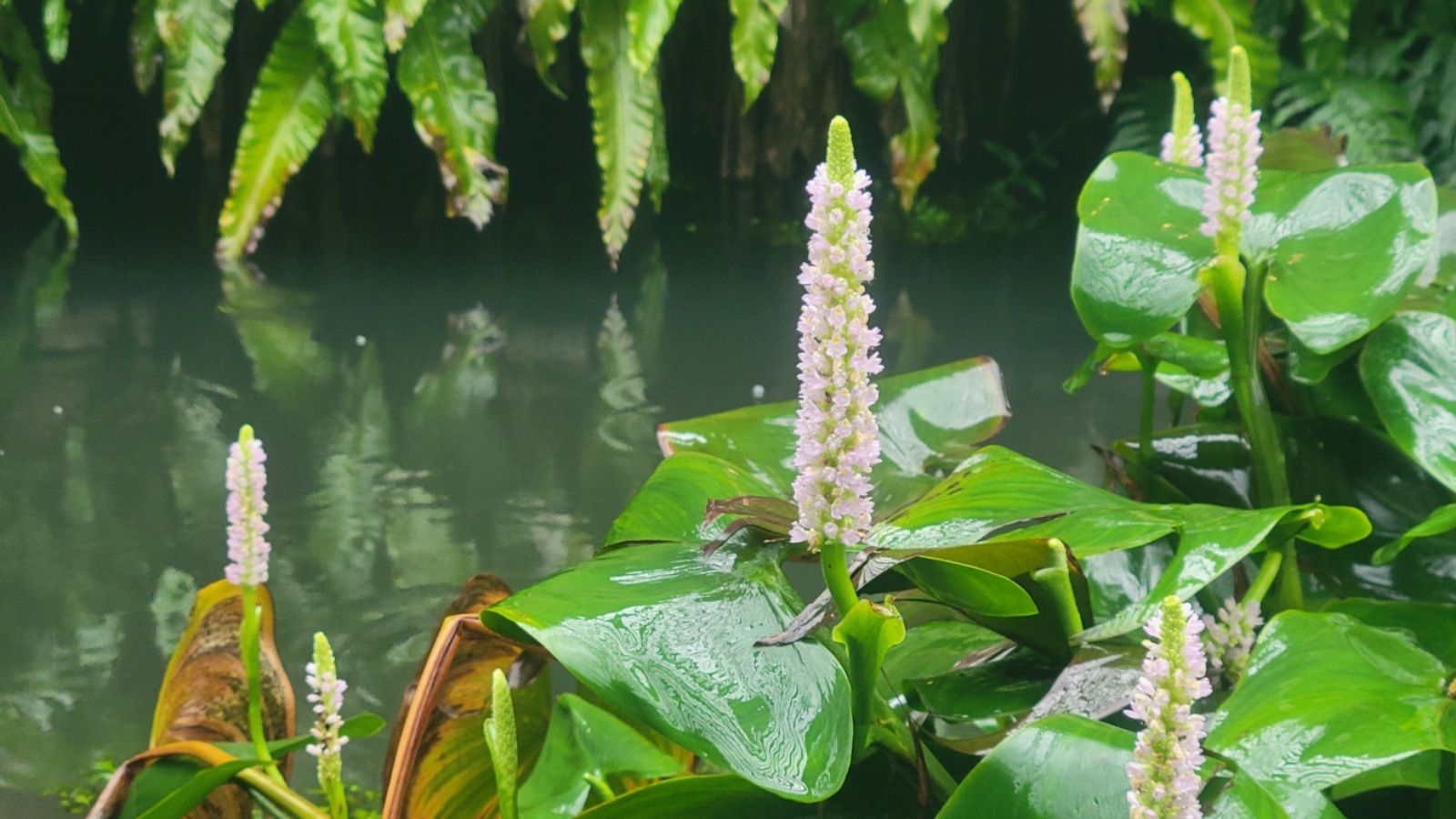 2025-04-22-01-36-09-7632442427989724033312