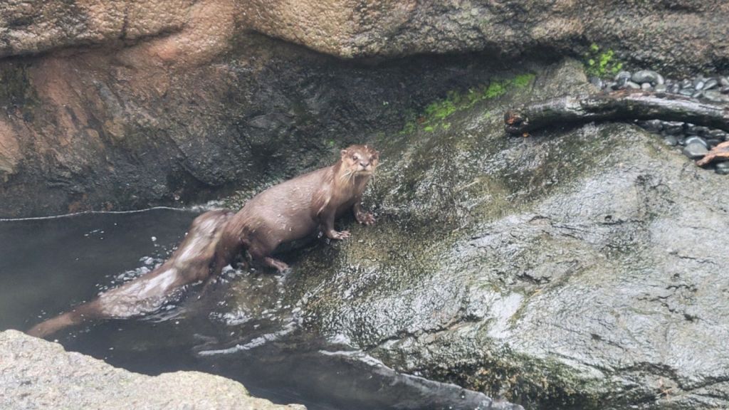 2025-04-22-01-41-27-8004675710133013901304