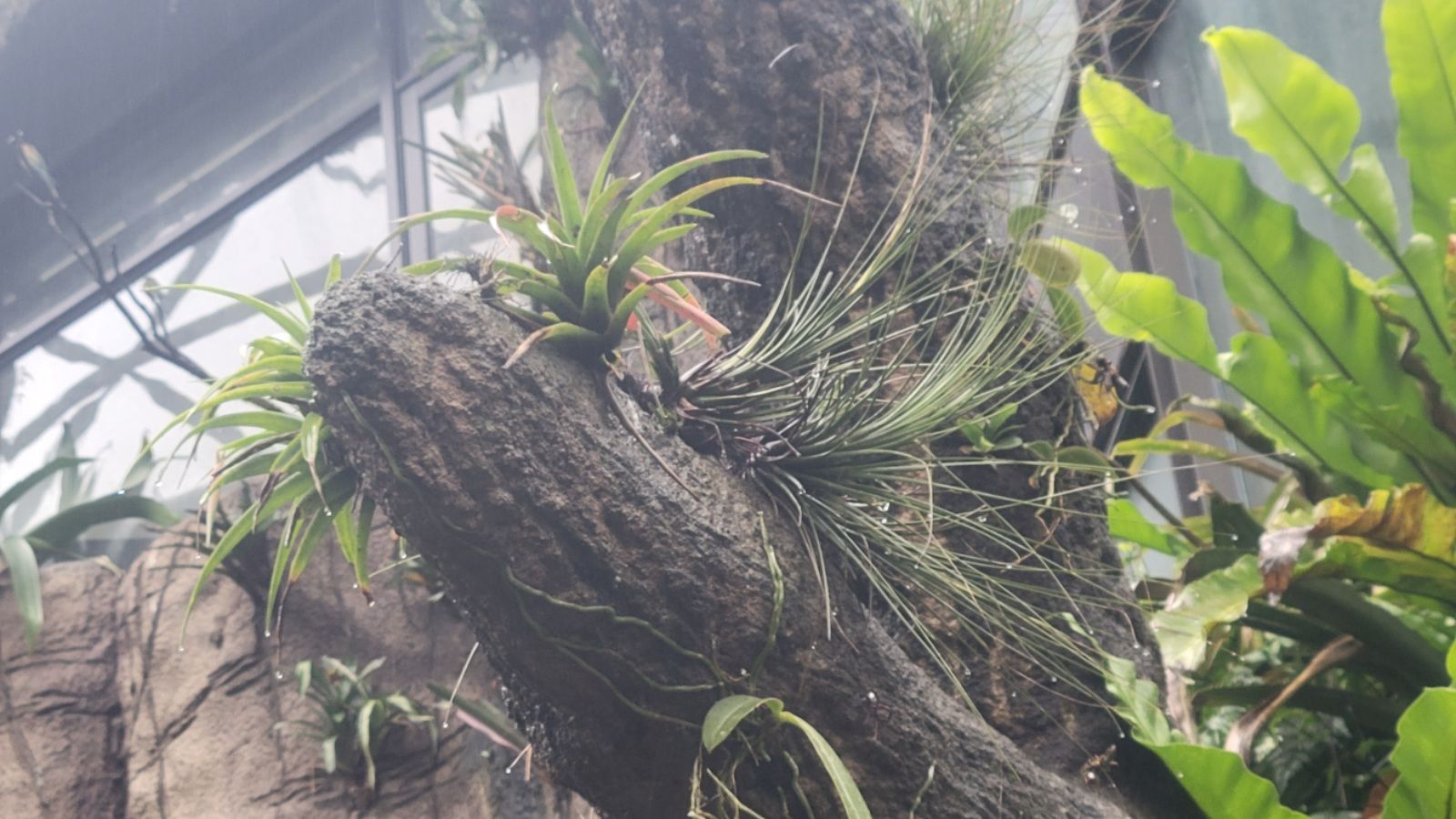 2025-04-22-01-46-04-9474018442992318262309